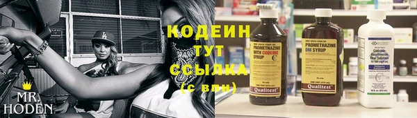 трава Аркадак