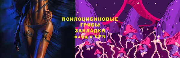 гашик Армянск