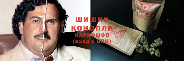 PSILOCYBIN Арсеньев