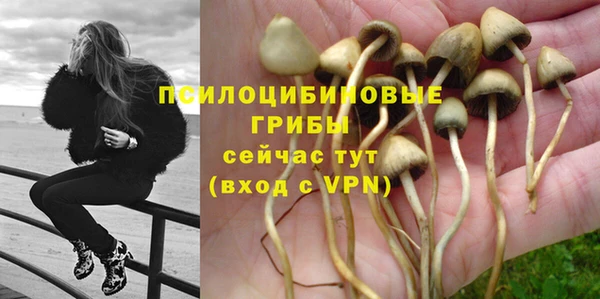 гашик Армянск